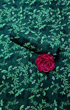 Emerald Vine Un-Stitched Lawn 2PC